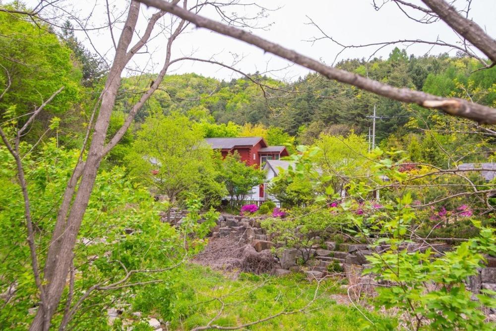 Pyeongchang Zermatt Pension Family, Couple Exterior foto